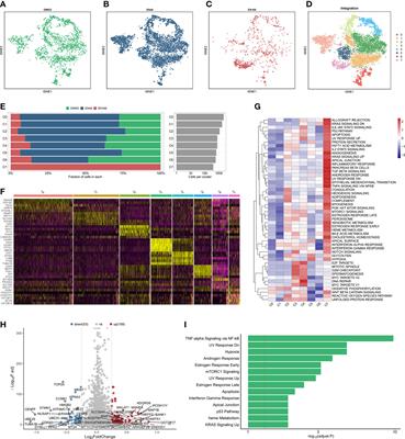 Prognostic implication of heterogeneity and trajectory progression induced by enzalutamide in prostate cancer